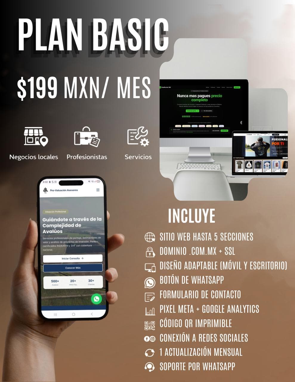 Plan Basic - SoftGar desarrollo web en México