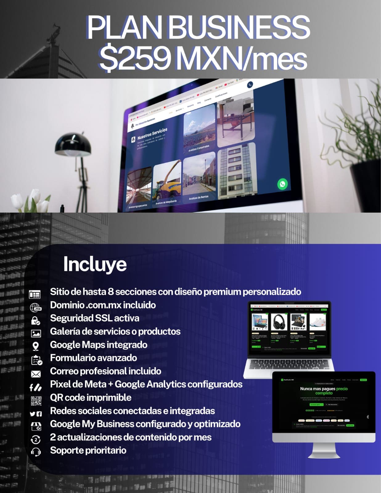 Plan Business - SoftGar desarrollo web en México
